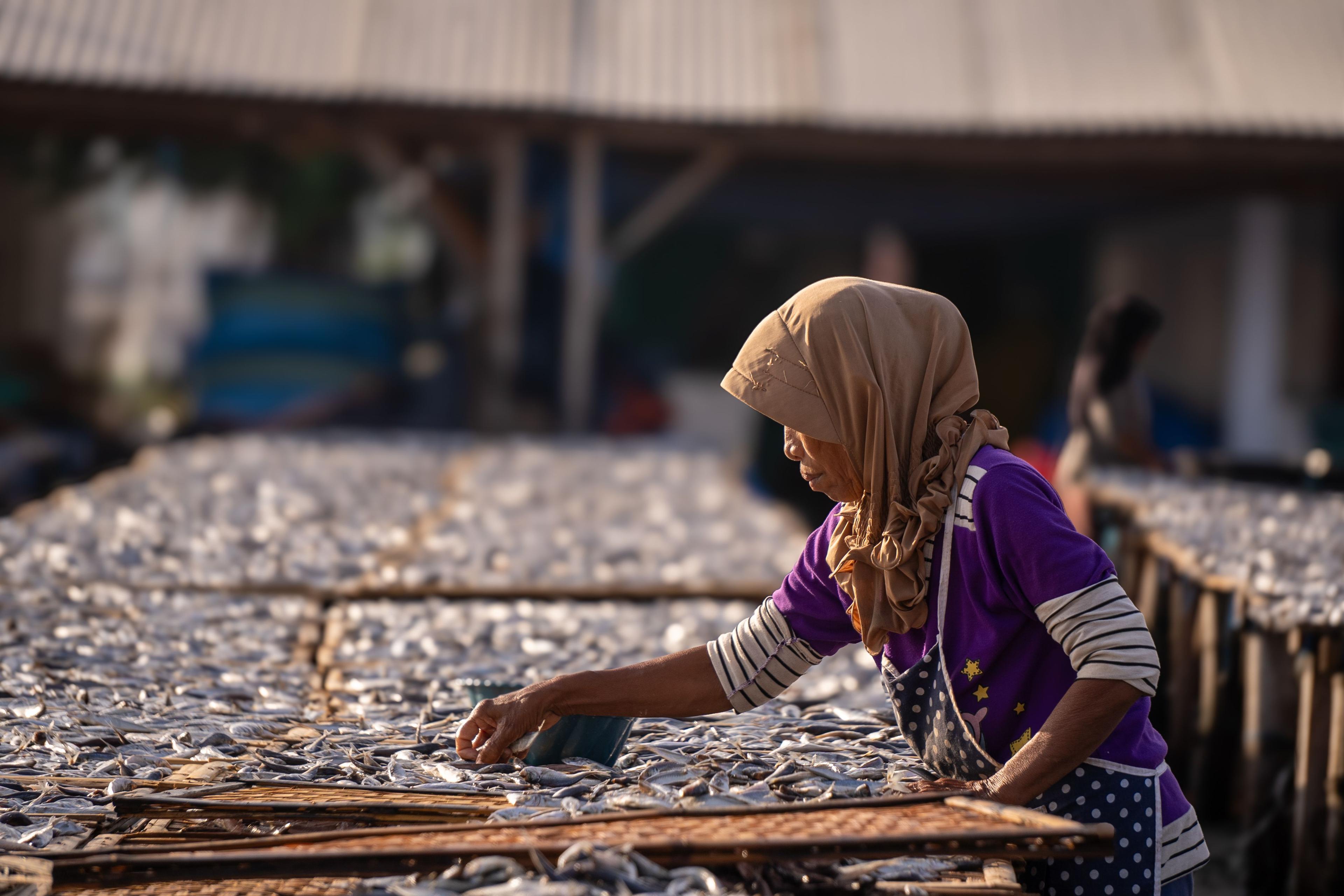 PT Rizky Indah Samudra fish-drying activity